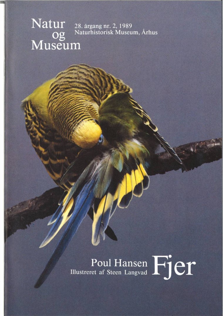 Fjer